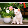 Muhammad